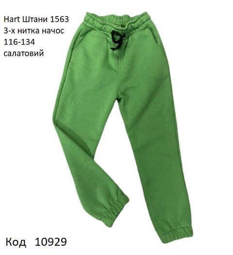 Hart Штани 3-х нитка начос 116-134 УНІ 1563 4шт. 10929 фото