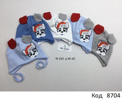 AlaBabyШапка трикотажна для хлопчика (на зав'язках) W-223 40-42 5 шт. 08704 фото